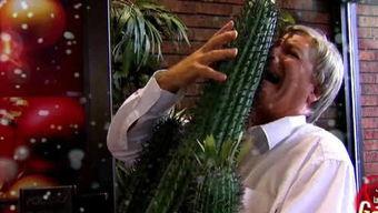 吃瓜网红三太子是谁,吃瓜网红三太子的传奇故事